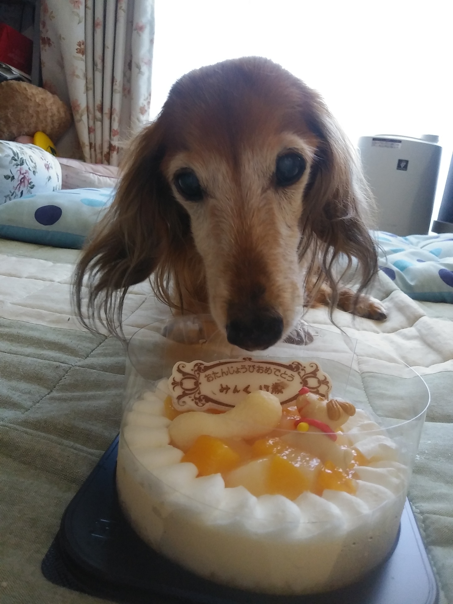 みんく17歳のお誕生日 仲良し３姉妹のお部屋 ２